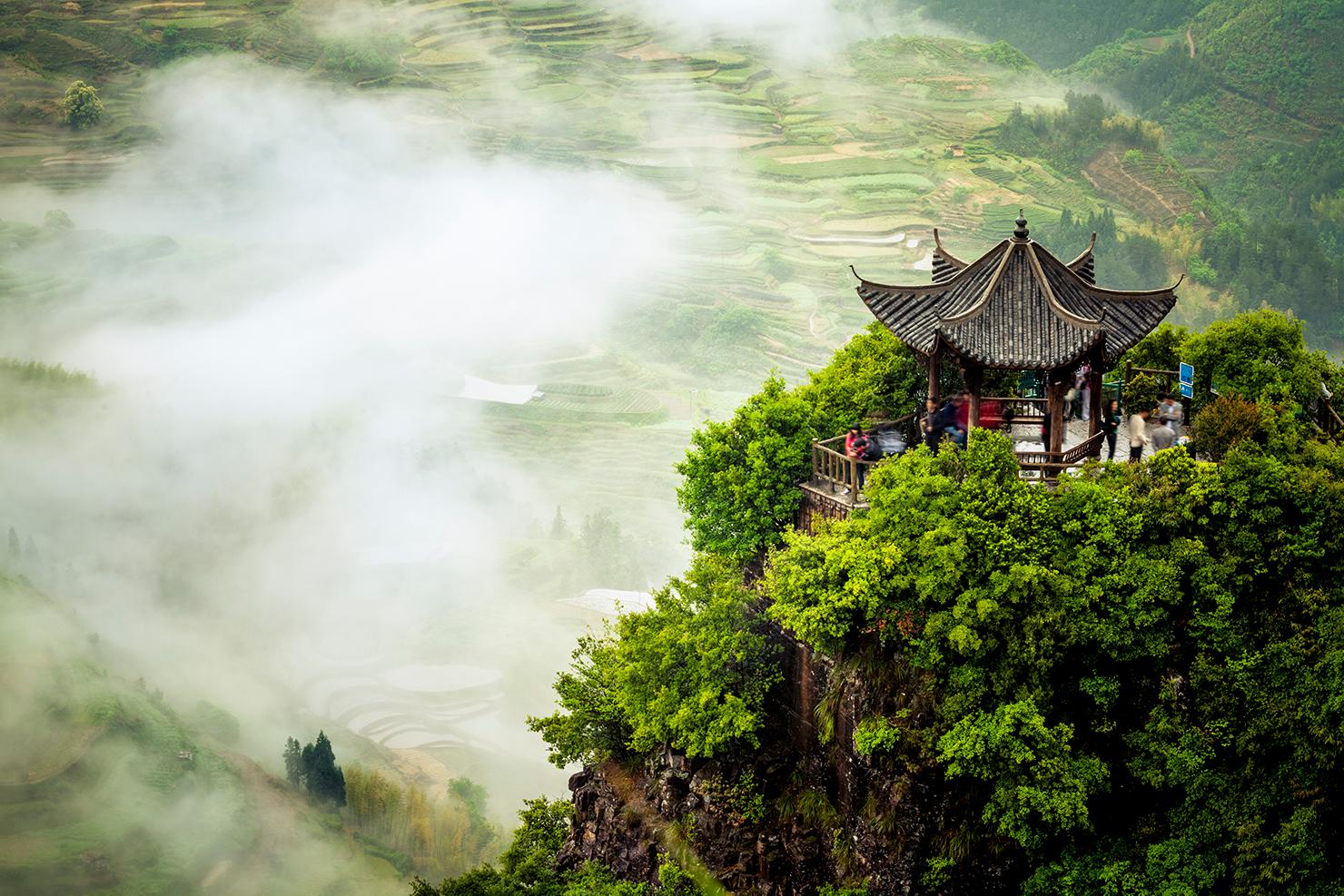 Majestic terraced fields