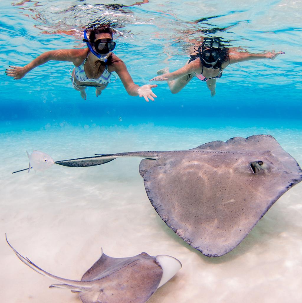 Snorkeling on a Cayman Islands vacation