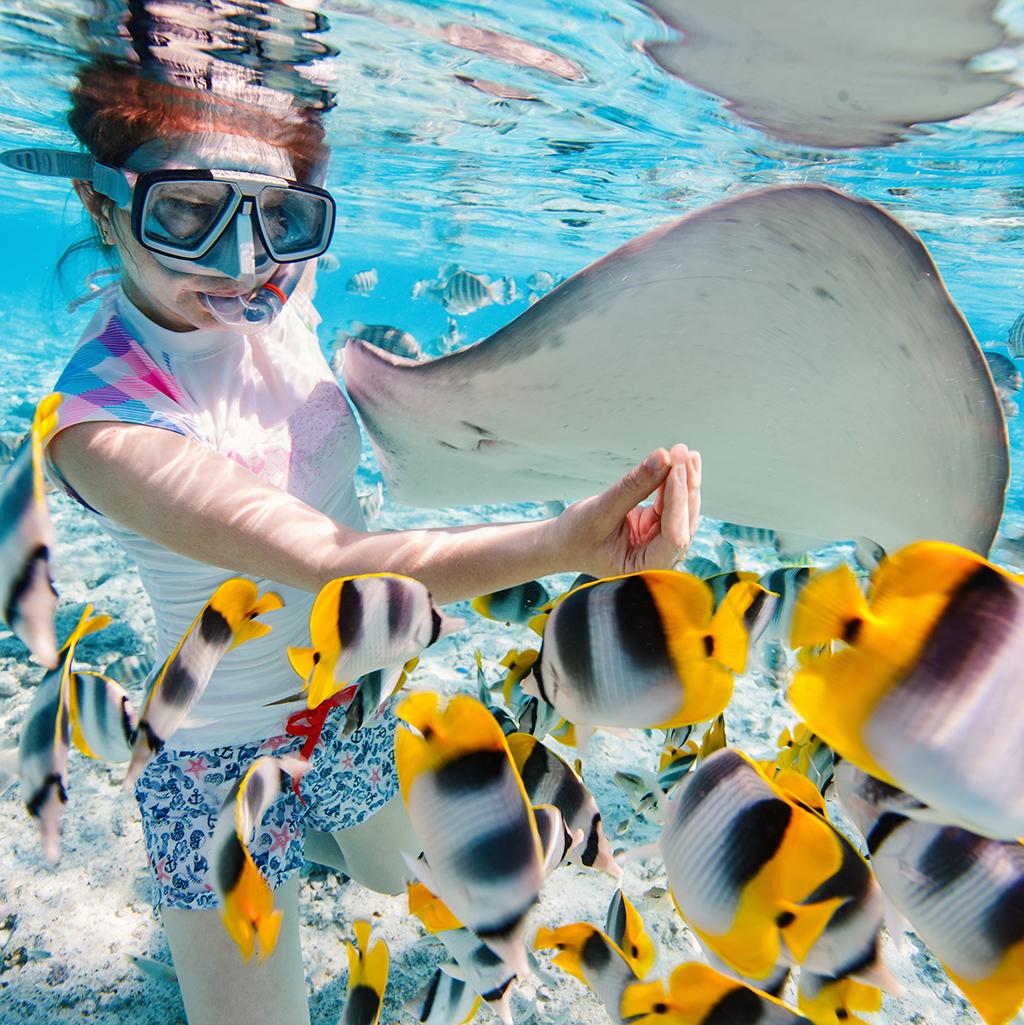 Swim with rays and fish on South Pacific vacation packages